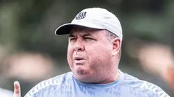 Foto: Raul Baretta/ Santos FC