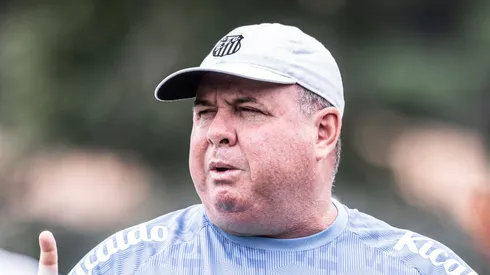 Foto: Raul Baretta/ Santos FC