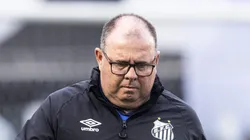 SP - SANTOS - 01/10/2023 - BRASILEIRO A 2023, SANTOS X VASCO - Marcelo Fernandes tecnico do Santos durante partida contra o Vasco no estadio Vila Belmiro pelo campeonato Brasileiro A 2023. Foto: Abner Dourado/AGIF