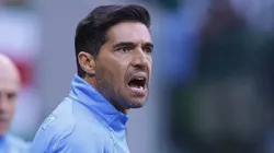 Foto: Ettore Chiereguini/AGIF - Palmeiras sabe da situação de Abel.