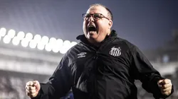 Foto: Raul Baretta/Santos FC - Peixe venceu duas seguidas e saiu do Z-4