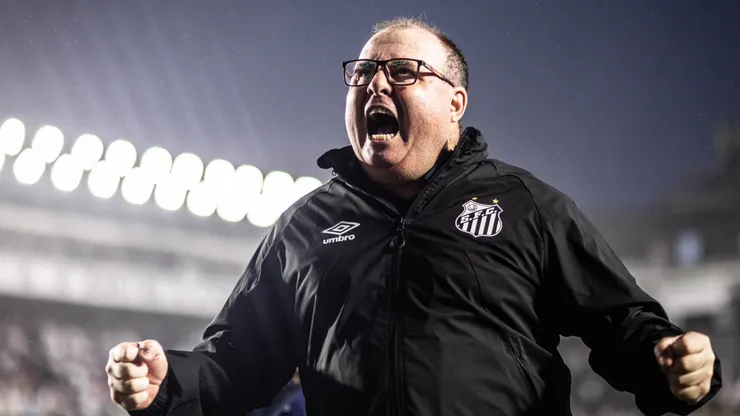 Foto: Raul Baretta/Santos FC - Peixe venceu duas seguidas e saiu do Z-4