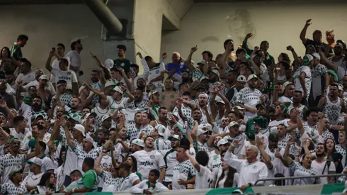 Foto: Gilson Lobo/AGIF - Torcida do Palmeiras sofre golpe criminal