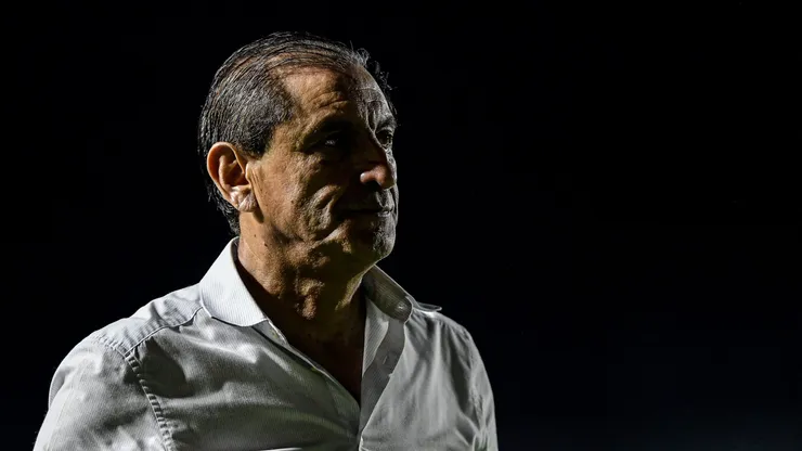 Em caso de vitória contra o Grêmio, o Vasco pode garantir a permanência na Série A. Foto: Thiago Ribeiro/AGIF