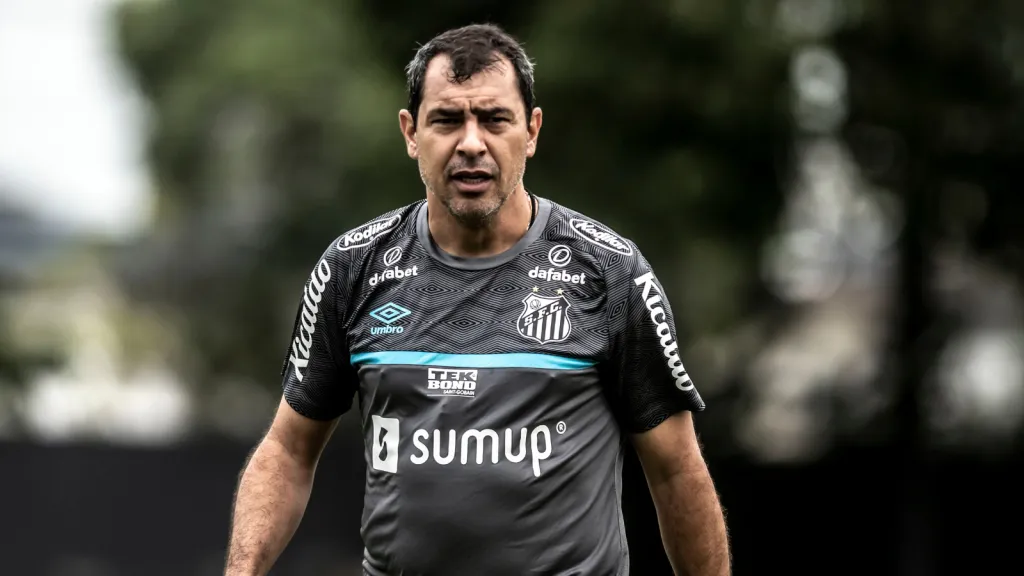 Fábio Carille, técnico do Santos - Foto: Ivan Storti/Santos FC