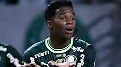 Endrick fala como o Palmeiras chega nas últimas rodadas do Brasileirão - Foto: Fabio Giannelli/AGIF