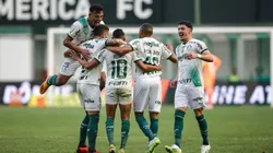 Palmeiras entra em campo, diante do América-MG, com vantagem no histórico. Foto: Gilson Lobo/AGIF
