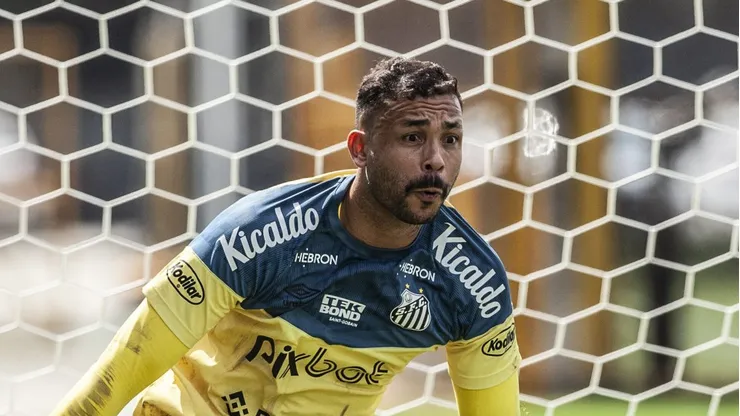 Vladimir não caiu nas graças da torcida do Santos. Foto: Bruno Santoni / Santos FC.