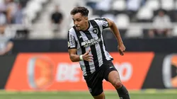 Eduardo é um dos destaques do Botafogo. Foto: Thiago Ribeiro/AGIF