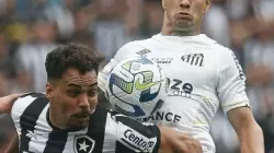 Botafogo e Santos se enfrentam pela 35ª rodada do Campeonato Brasileiro - Botafogo e Santos - Brasileirão - Foto: Vitor Silva/Botafogo