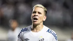 Foto: Abner Dourado/AGIF - Soteldo comemorando gol do Santos em partida pelo Campeonato Brasileiro
