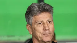 Volante do Palmeiras é monitorado pelo Grêmio de Renato Portaluppi. Foto: Robson Mafra/AGIF