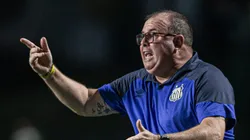 Marcelo Fernandes altera time titular do Santos contra o Botafogo - Foto: Isabela Azine/AGIF