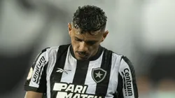 Botafogo entrega taça nas mãos do Palmeiras -Foto: Jorge Rodrigues/AGIF