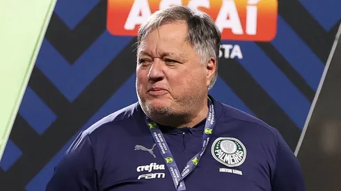 Dirigente do Palmeiras não é bem visto pela torcida - (Foto: Cesar Greco/Palmeiras/by Canon).