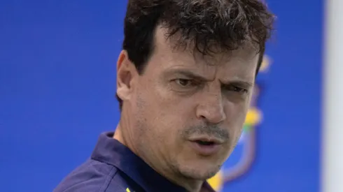 Imprensa europeia faz apelo a Diniz pela Seleção - Foto: Gil Gomes/AGIF