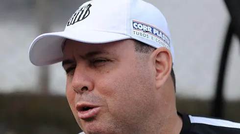 Marcelo Fernandes, treinador do Santos - Foto: Ivan Storti/Santos FC