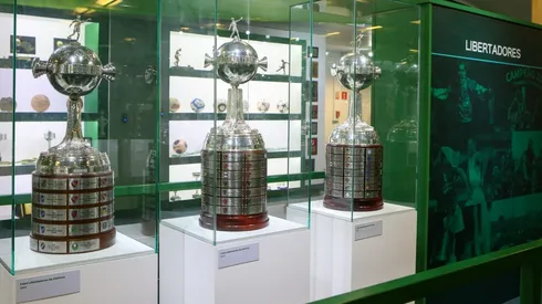 Taças da Libertadores do Palmeiras - Palmeiras/Divulgação