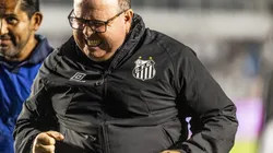 Santos pode ter reforço na defesa - Foto: Abner Dourado/AGIF