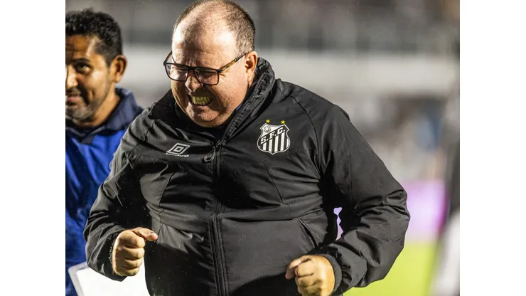 Santos pode ter reforço na defesa - Foto: Abner Dourado/AGIF