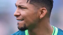 Palmeira é favorito ao titulo do Brasileirão. Marcello Zambrana/AGIF