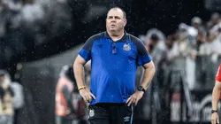 Marcelo Fernandes pode ter reforços no Santos contra o Botafogo - Foto: Abner Dourado/AGIF