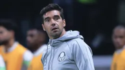 Palmeiras de Abel tem chances altas de ficar com a taça -Foto: Ettore Chiereguini/AGIF