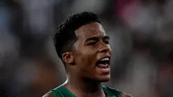 Endrick é um dos destaques do Palmeiras no Brasileirão. Foto: Thiago Ribeiro/AGIF