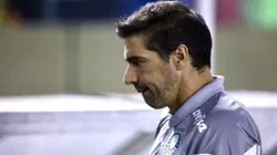 Abel demonstrou desejo de abandonar o futebol brasileiro. Marcello Zambrana/AGIF