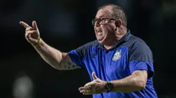 Marcelo Fernandes, técnico do Santos, durante partida contra o Goiás no Estádio Serrinha pelo Campeonato Brasileiro - Foto: Isabela Azine/AGIF
