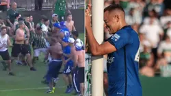 Foto: Reprodução Pemiere e Robson Mafra/AGIF - Papagaio lamenta gol perdido