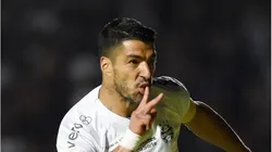 Suárez comemora gol pelo Grêmio. Fotos: Alexandre Durão/Grêmio FBPA