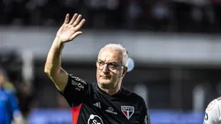 Dorival Júnior, técnico do São Paulo, durante partida do Tricolor. Foto: Abner Dourado/AGIF