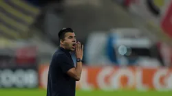 Maldonado rasgou elogios a titular de Tiite. Foto: Thiago Ribeiro/AGIF