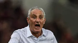 Tite manda a real sobre o Palmeiras - Foto: Thiago Ribeiro/AGIF