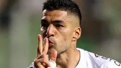 Foto: Gilson Lobo/AGIF - Suárez em partida do Grêmio pelo Campeonato Brasileiro