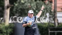 Marcelo Fernandes foi efetivado por Rueda. Fotos: Raul Baretta/ Santos FC.