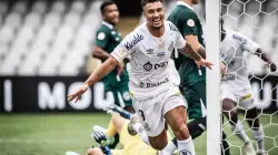 Goiás x Santos pela 33ª rodada do Campeonato Brasileiro; Onde assistir AO VIVO, horário e escalações - Raul Baretta / Santos