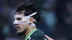 Palmeiras faz jogo decisivo pelo Brasileirão contra o Flamengo. Foto: Marcello Zambrana/AGIF