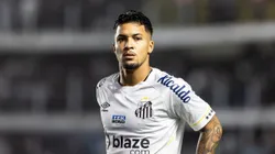 Diniz acabou preterindo Marcos Leonardo na convocação para a Seleção Brasileira. Abner Dourado/AGIF