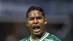 Endrick sofreu trauma no cotovelo contra o Botafogo. Foto: Abner Dourado/AGIF