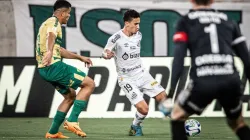 Santos x Cuiabá pela 32ª rodada do Campeonato Brasileiro; Onde assistir AO VIVO, horário e escalações - Foto: Santos/Twitter