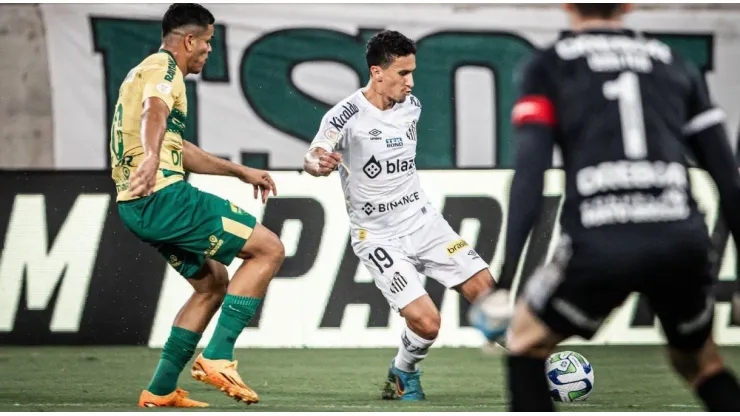 Santos x Cuiabá pela 32ª rodada do Campeonato Brasileiro; Onde assistir AO VIVO, horário e escalações - Foto: Santos/Twitter