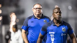 Marcelo Fernandes, técnico do Santos, durante partida contra o Coritiba pelo Campeonato Brasileiro - Abner Dourado/AGIF