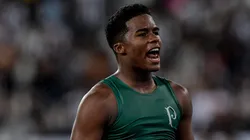 Endrick, jogador do Palmeiras, comemora a vitória ao final da partida contra o Botafogo pelo Campeonato Brasileiro - Foto: Thiago Ribeiro/AGIF