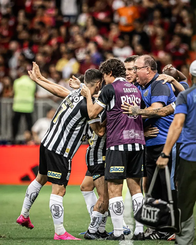 Fotos: Raul Baretta/ Santos FC.