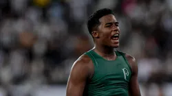 Endrick jogador do Palmeiras comemora vitória ao final da partida contra o Botafogo no Estádio Engenhão pelo Campeonato Brasileiro. Foto: Thiago Ribeiro/AGIF