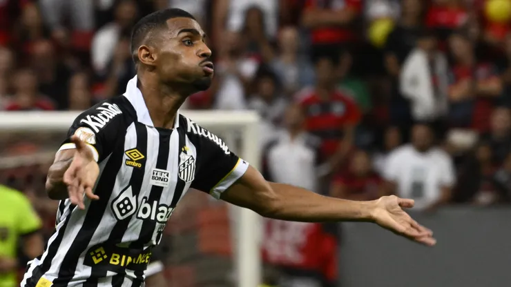 Joaquim comemora gol da vitória do Santos contra o Flamengo. Mateus Bonomi/AGIF