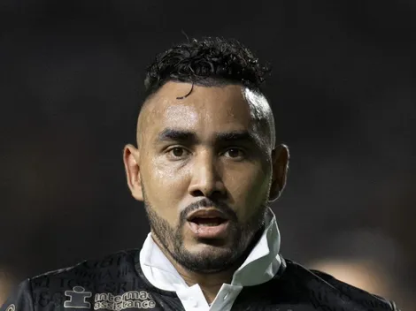 Gatinho vidente aponta resultado do Vasco contra o Cuiabá e agita torcida na web