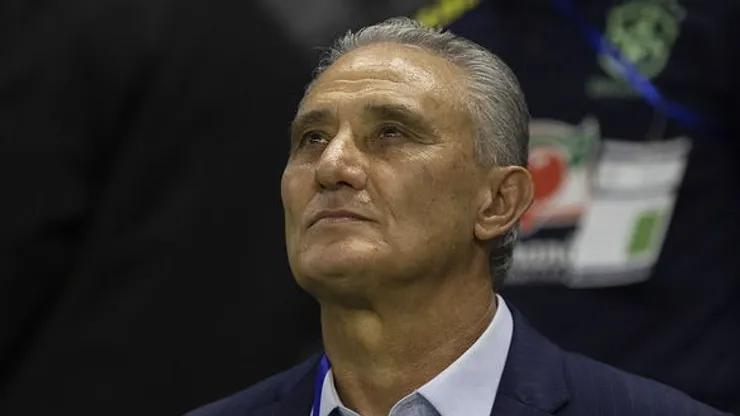 Torcida do Palmeiras see empolga com decisão de Tite no Flamengo. Foto Lucas Figueiredo/CBF